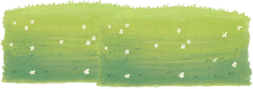 mặt đất